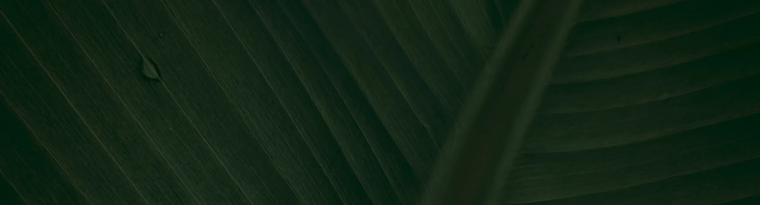 hero-image_optimized Proteina JUST WHEY Star Nutrition 2 Lbs